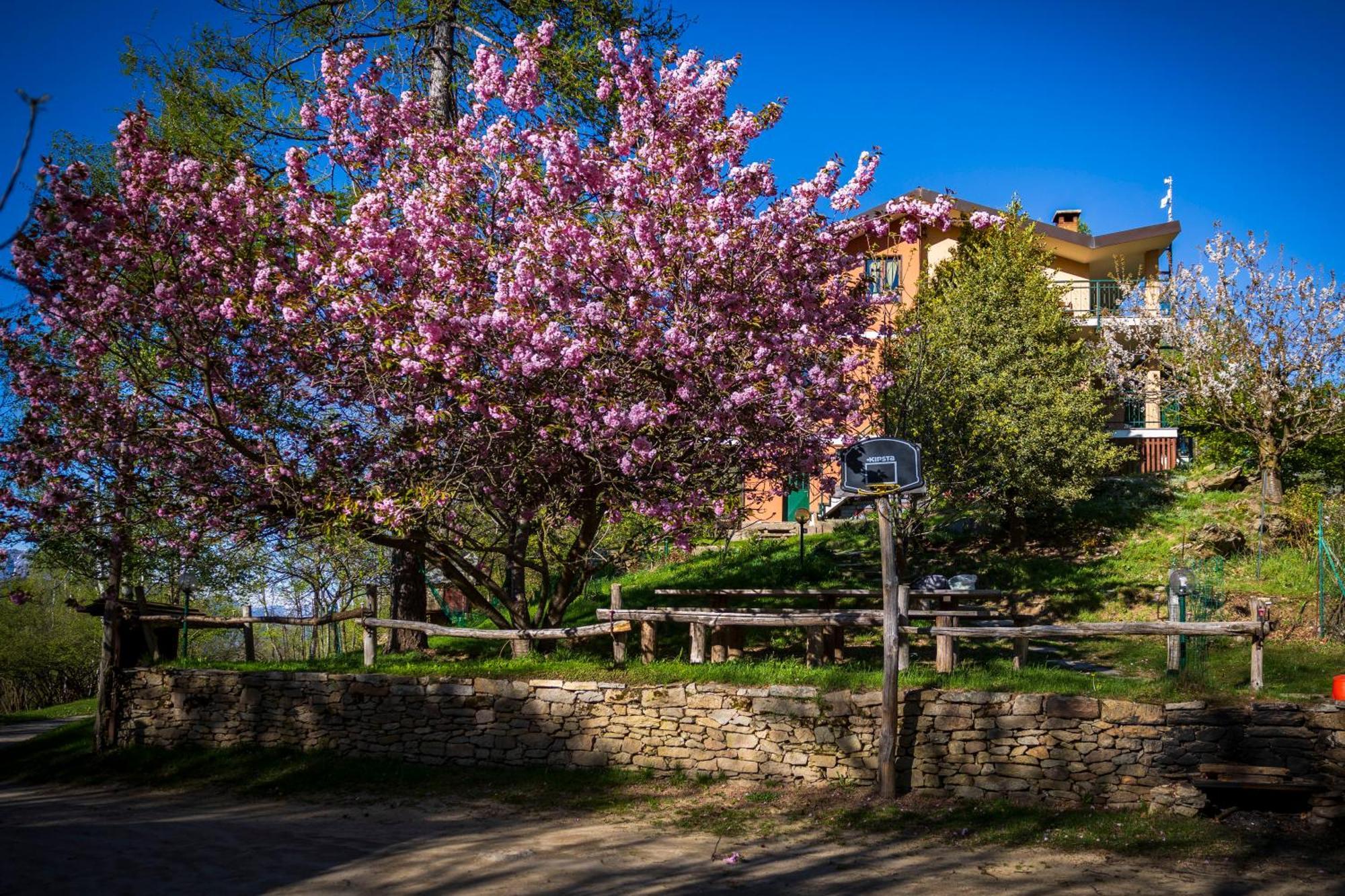 B&B Pian Savin Giaveno Buitenkant foto
